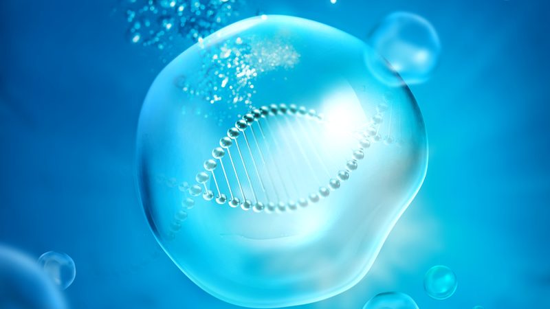 PCR试剂盒选厂家的关键考量：合规、技术、与适用性