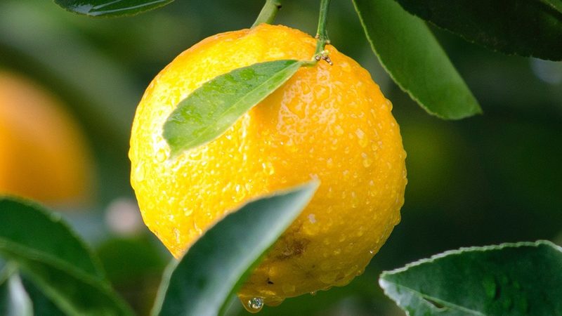 洁净室净化等级：生物医药领域的关键标准解析