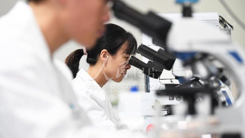 生物科技公司批发价格，如何选择长期合作伙伴？**