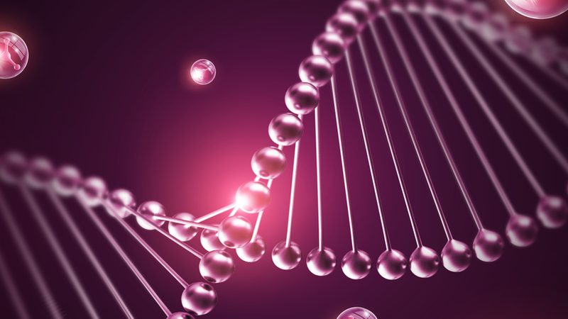 抗体CDMO工艺流程：揭秘生物制药的“幕后英雄