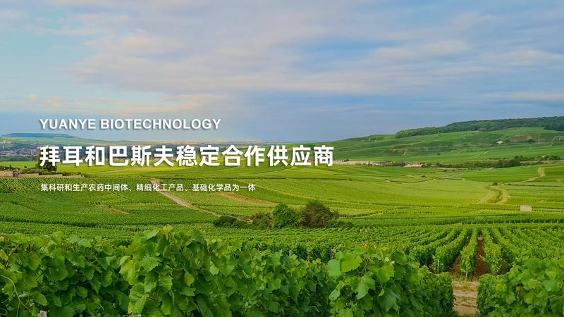 广州生物试剂定制服务的优势与选择要点**