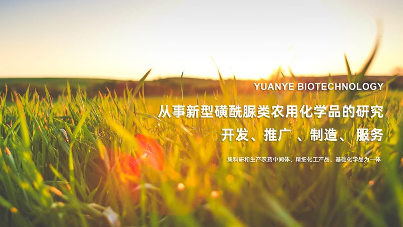 小标题：细胞工厂维护外包中的常见误区