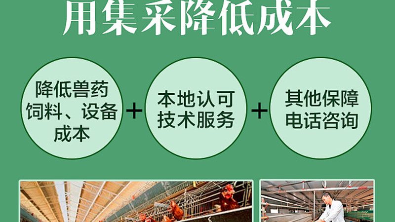 CDMO商业模式崛起：揭秘十大品牌背后的行业变革**