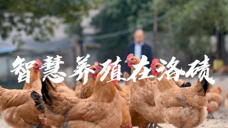 制剂CDMO价格背后的考量因素**