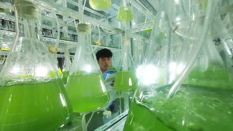 揭秘生物科技医疗应用十大品牌：背后的科技与合规之道**